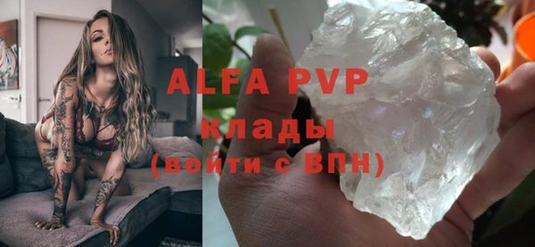 круглые Гусев
