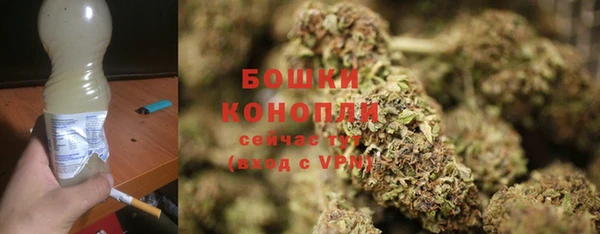гашик Гусь-Хрустальный