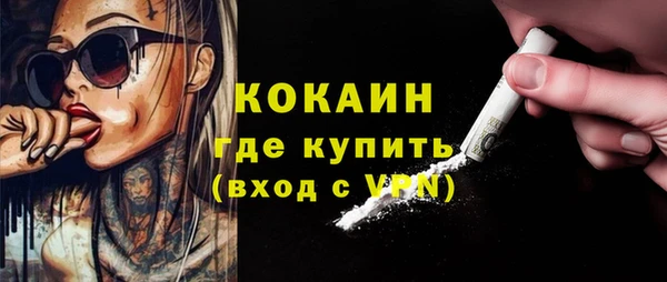 круглые Гусев