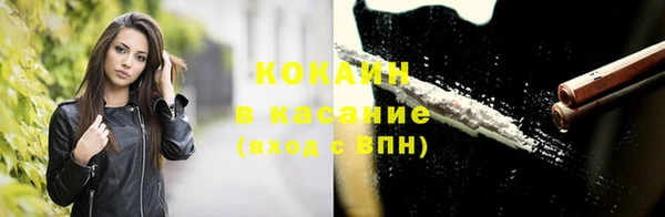 круглые Гусев