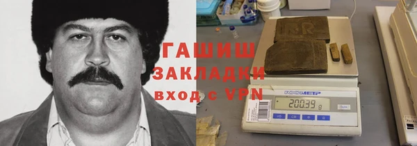 гашик Гусь-Хрустальный