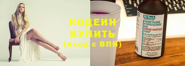 круглые Гусев