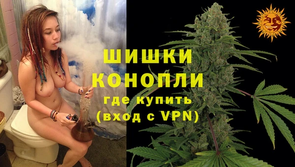 гашик Гусь-Хрустальный