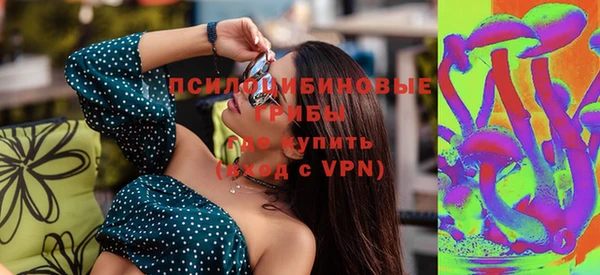 круглые Гусев