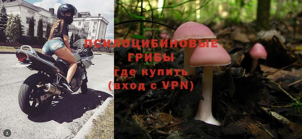 гашик Гусь-Хрустальный