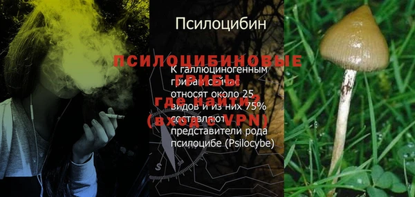 мескалин Гусиноозёрск