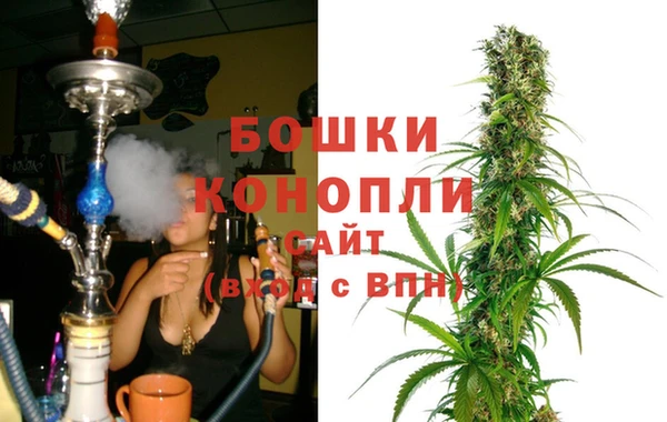 гашик Гусь-Хрустальный