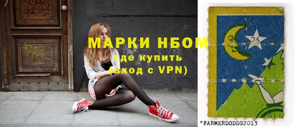 гашик Гусь-Хрустальный