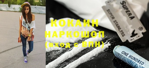 гашик Гусь-Хрустальный