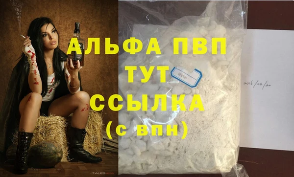 круглые Гусев