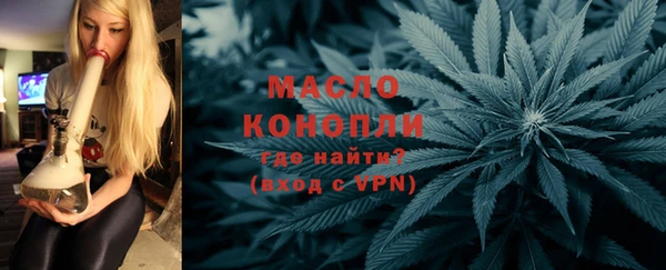 гашик Гусь-Хрустальный