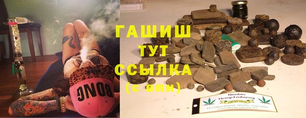 гашик Гусь-Хрустальный
