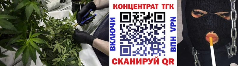 ОМГ ОМГ ТОР  Новошахтинск  Дистиллят ТГК жижа 