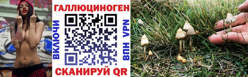 MEGA рабочий сайт  Новошахтинск  Псилоцибиновые грибы ЛСД 