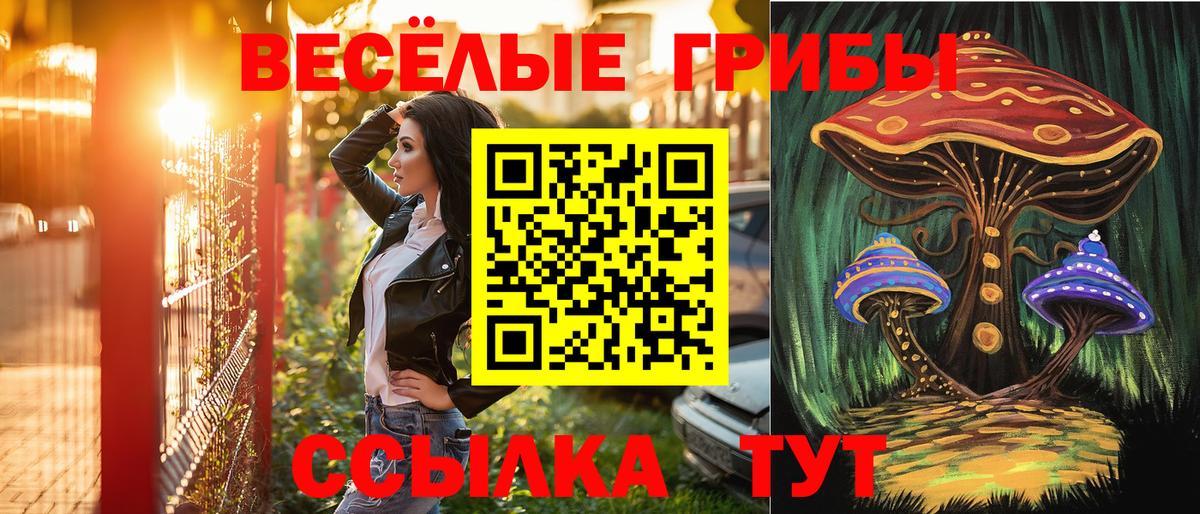 Псилоцибиновые грибы MAGIC MUSHROOMS Новошахтинск