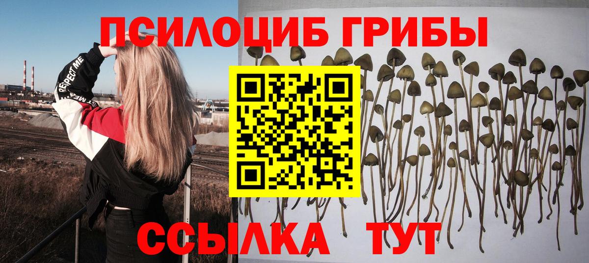Новошахтинск  Псилоцибиновые грибы GOLDEN TEACHER  Вход с VPN 